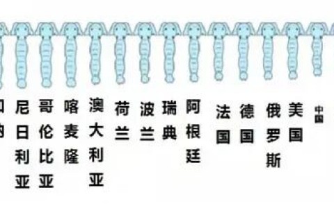 中国人丁丁平均长度