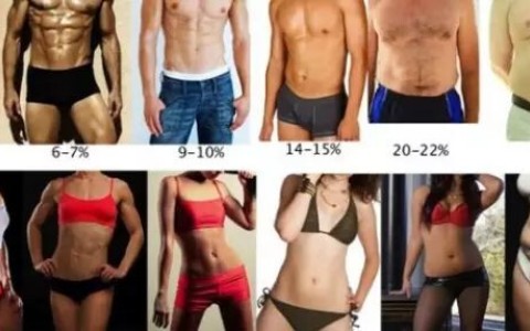男性体脂率的正常范围：15%-18%
