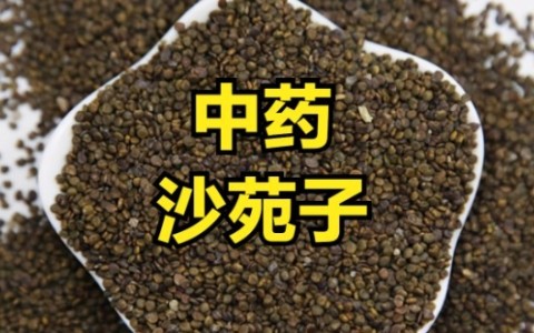 沙苑子能提高性功能吗