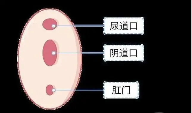 行房找不到位置怎么办