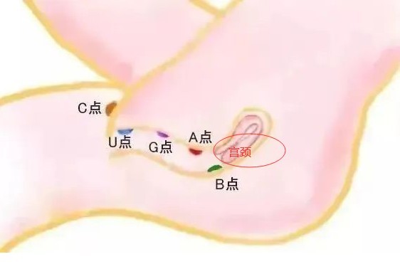 怎么样知道是不是顶到宫颈