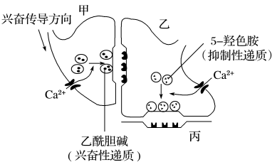 盐酸达泊西汀的原理