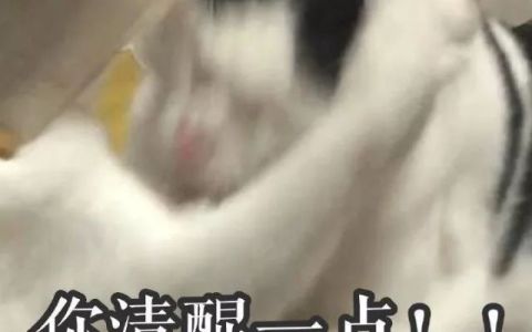 鱼鳔在古代是避孕套嘛
