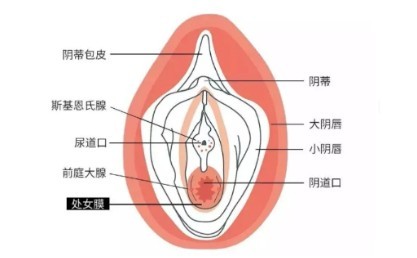 第一次怎么找到正确位置？男女必备生理知识