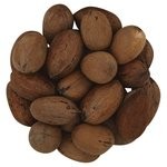 pecans