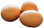 eggs