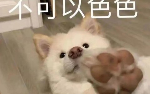 原来古人这么会玩？古代情趣用品大赏