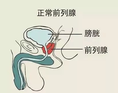 教程丨这才是前高的正确做法姿势