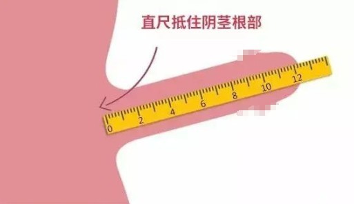 正常男人多长算标准？18cm..别骗自己了?