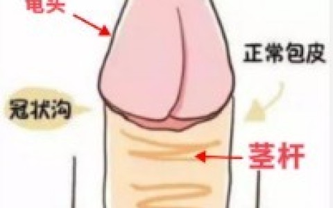 达克罗宁正确涂抹方法图片