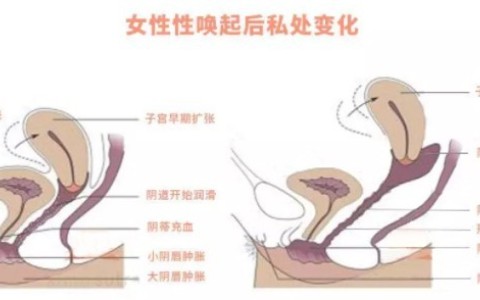 女生能接受多少厘米？18cm就能到底？