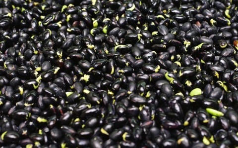 长期吃五黑好不好 食用的好处和营养价值