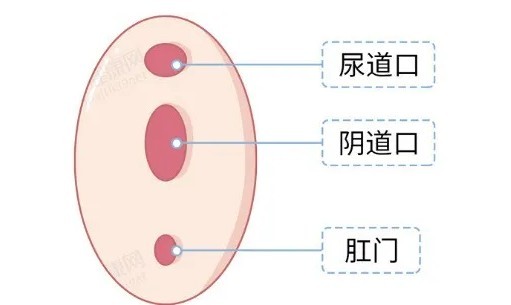 结婚晚上不知道怎么开始？附正确方法