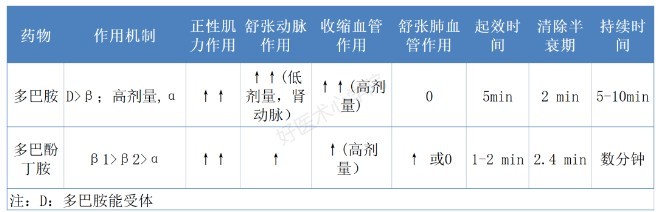 一文搞懂多巴酚丁胺和多巴胺的详细区别和差异