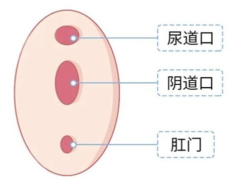 试了很多次都进不去怎么办？估计90%都是这3个原因