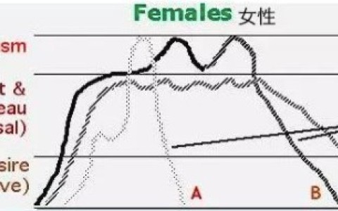 女生会有贤者模式吗