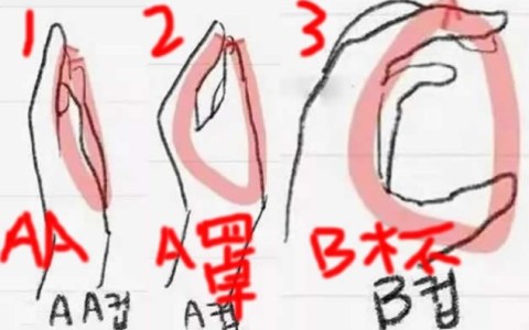 一只手能抓住的是c吗？附计算数据