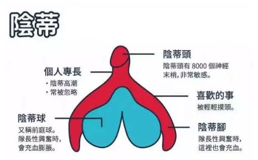 没有玩具也能玩转小豆豆9种技巧