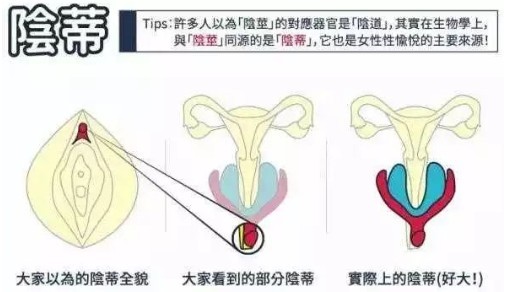 没有玩具也能玩转小豆豆9种技巧