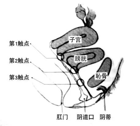 手指在里面应该怎么动才舒服