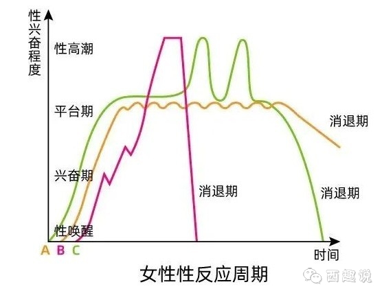 跟男朋友聊天聊到湿正常吗？女生们应该了解的性反应周期