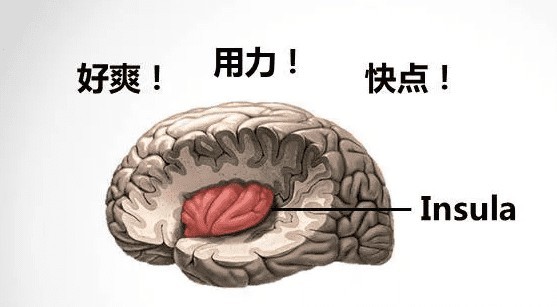 为什么叫的越大声他就越厉害