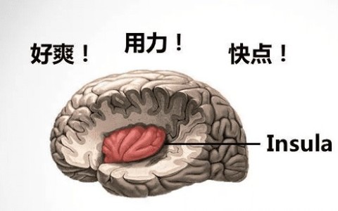 为什么叫的越大声他就越厉害