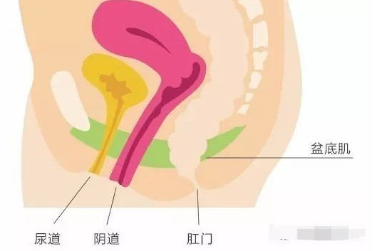 女人练深蹲会变紧吗