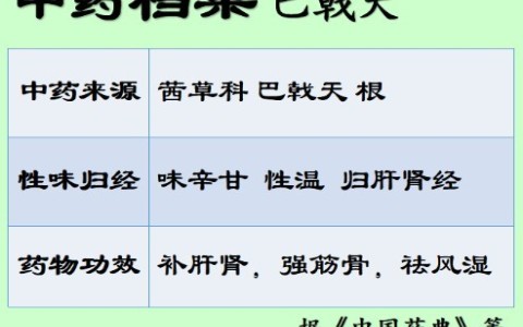 女人吃巴戟天的好处