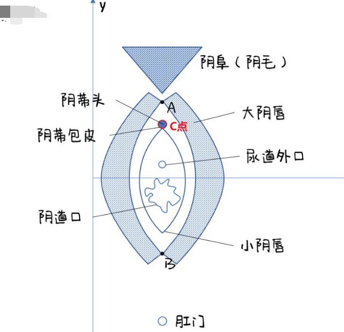 如何通过手指正确找到C点