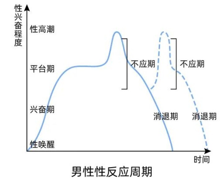 为什么最后那几下要加速？是因为爽吗？