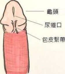 物理提高龟敏度的训练，带你实战行为疗法