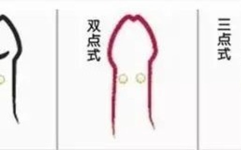 男人镶龙珠是啥意思