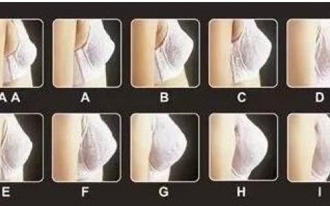 如何在没有尺子的情况下测量胸围