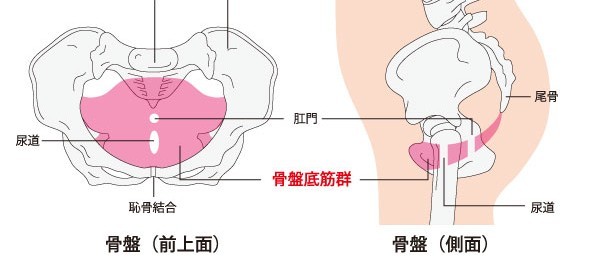 怎么在做的过程中通过夹增强快感