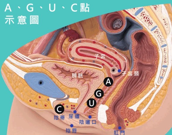 u位的准确位置在手指的哪里