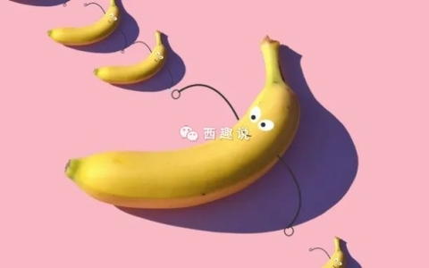 为什么丁丁大的都是瘦的