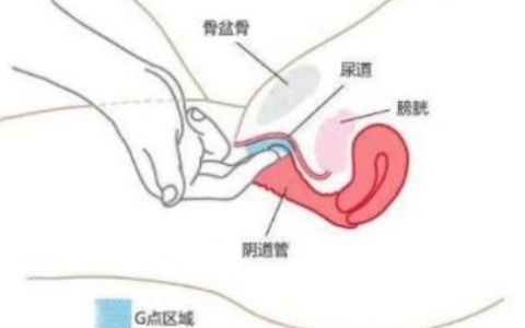 G位的准确位置，别再说找不到了（图解）