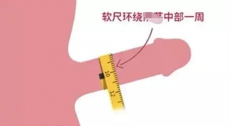 营养快线瓶口算粗吗