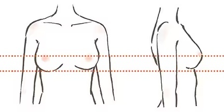 怎么正确测量上胸围跟下胸围