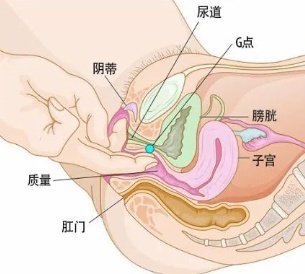 G点真的存在吗？为啥70％女性从未高潮过？