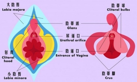 G点真的存在吗？为啥70％女性从未高潮过？