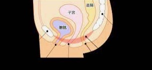 女生小便能中断说明盆底肌是不松弛吗