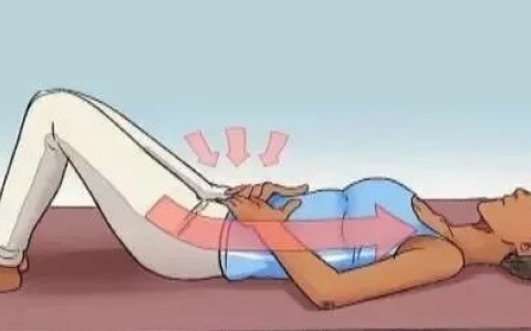 盆底肌收缩坚持不了一秒怎么办