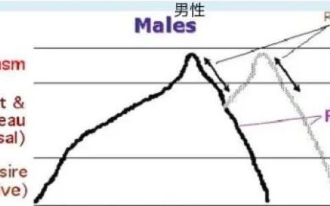 男生进入贤者模式后多久恢复