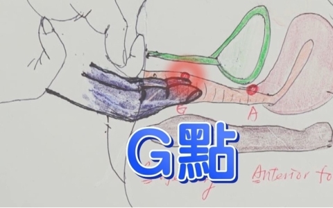 女生G点大概是什么样子