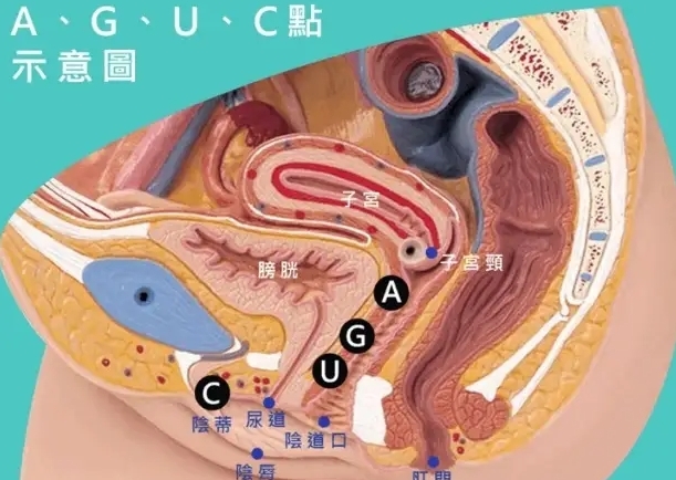 除了G点，还有能让妳嗨到爆A点