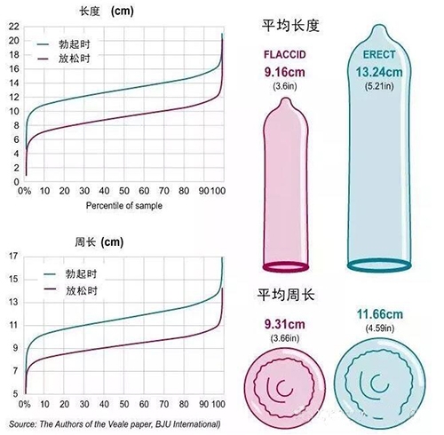 男生周长10厘米属于粗还是细