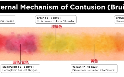 吻痕1-2周颜色恢复详细变化过程图