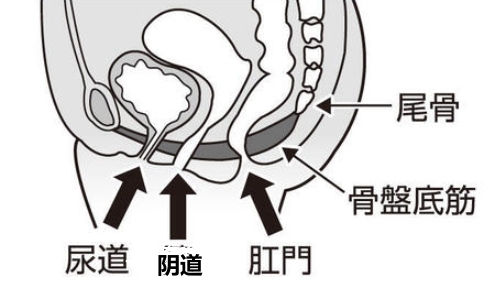 怎么判断自己是不是松